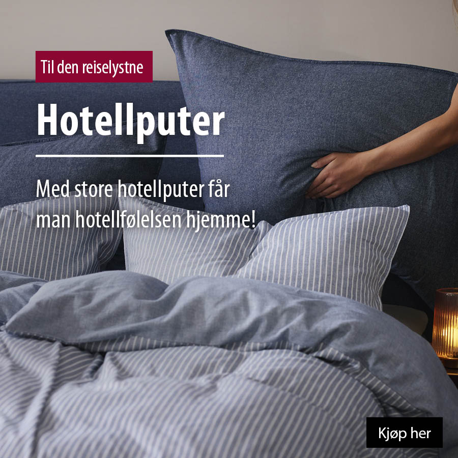 Hotellputer